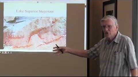 Transitional forms: What Does the Evidence Say?