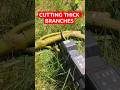 PARKSIDE PERFORMANCE 20V Cordless Pruning Shears | Cutting Thick Branches