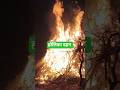 होलिका दहन l Holika dahan l #holikadahan #holika #holika_dahan_ki_katha #holikasong