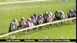 2002 Caulfield Cup- Northerly