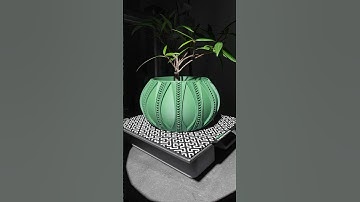 3D PRINTED PLANTER TIMELAPSE #3dprinting #3dprint #timelpase