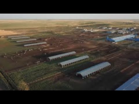 Video: Gebruik van niobium. Niobium produksie in Rusland