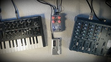 Glow (Tape loops, Microbrute, AMA) | Lofi Ambient Glitch