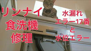 Diyビルトイン食洗機の修理 水漏れ 水位エラー Youtube