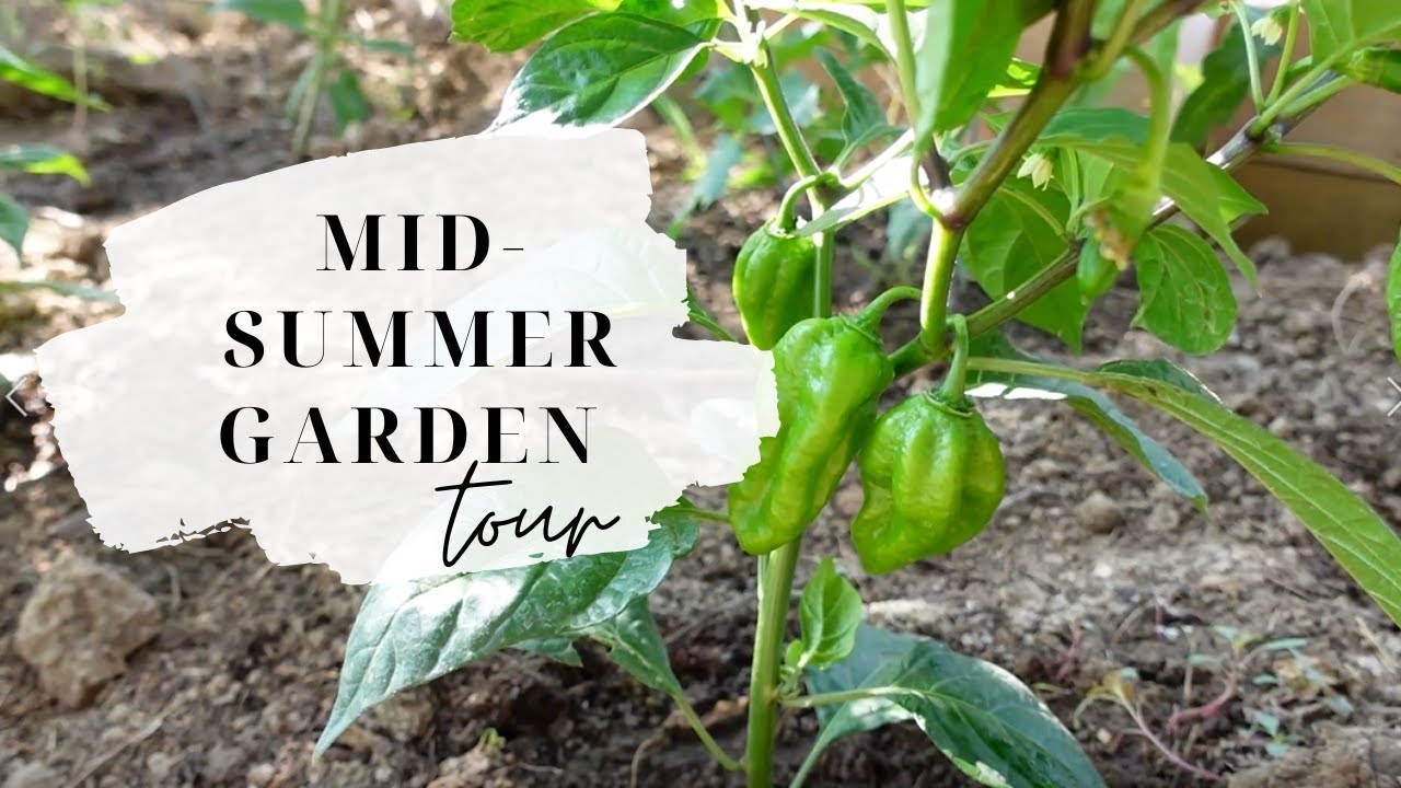 Mid-Summer Garden Tour