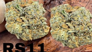 SMOKING ON RS11 !!! ( STRAIN REVIEW )
