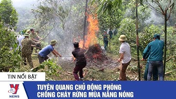 Tin xã hội: Tuyên Quang chủ động phòng, chống cháy rừng mùa nắng nóng - VNEWS