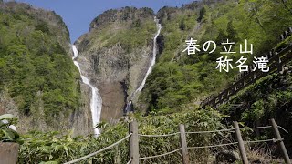 春の立山　称名滝 /Shomyo Falls, Tateyama in Spring /春天的立山昭明瀑布 /봄의 다테야마, 쇼메이 폭포 /Air Terjun Shomyo,