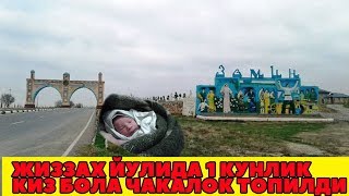 ДАХШАТ ЙЎЛДА БИР КУНЛИК ЧАКАЛОК ТОПИЛДИ