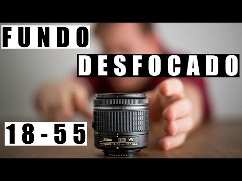 Lente 18-55 mm - 4 dicas para fundo desfocado!