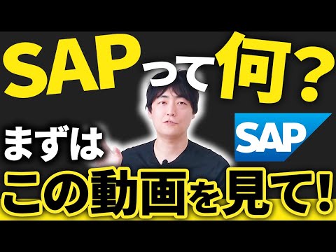 【SAPを解説】今更聞けない！そもそもSAPとは何か