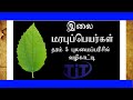 புலமைப்பரிசில் வழிகாட்டி | நாள் 05 | இலை மரபுப்பெயர்கள்