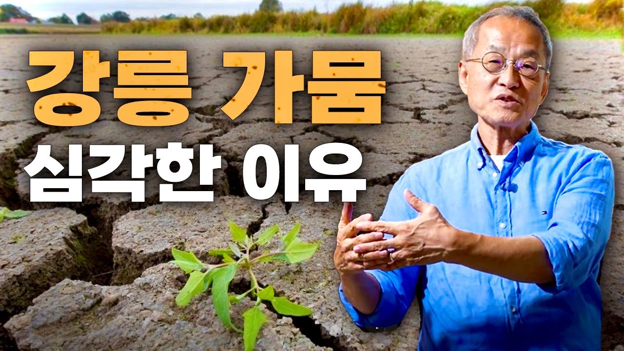 대한민국 물 부족 국가? 강릉 가뭄과 불편한 진실, 위기의 이유와 해결 방법 | 최재천의 아마존 , 전지적관찰자시점