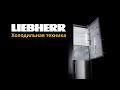 Холодильная техника Liebherr: отличительные черты и технологии