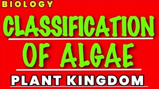 Classification of Algae | Plant Kingdom | class 11 biology