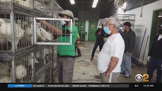 New York State Legislator Calls For Closure Of All City Wet Markets