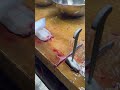 मछली को संभालने का प्रशिक्षण 鰻捌き修行　#craftman #捌く #japanesefood #捌き #cuttingskills #cooking