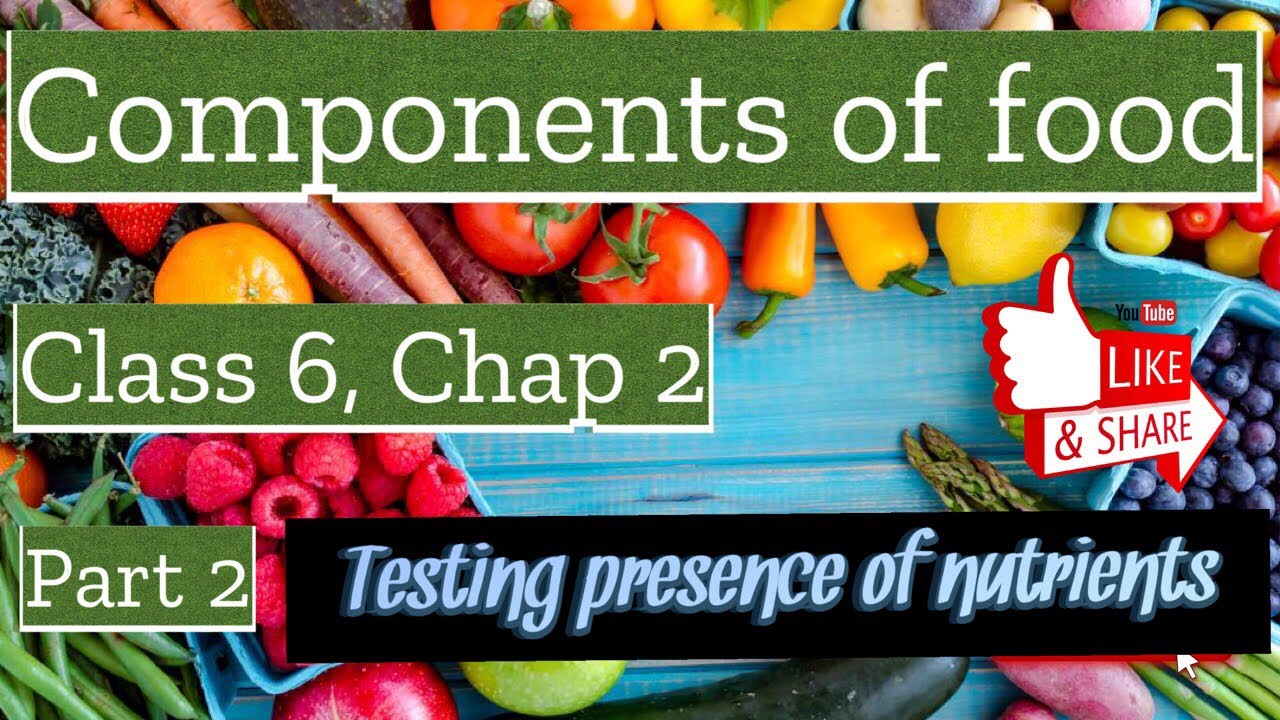 Test the presence of nutrients in food, Components of food ...