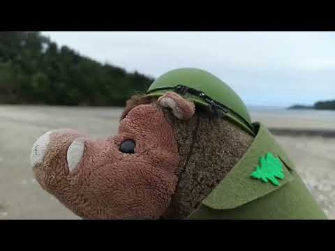 "Por que queiman Galiza?" O novo capítulo de The Porquíns Show