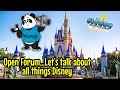Open forumlets talk about all things disney the disney underground ep 33 disney travel
