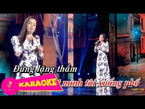 Lặng Thầm Karaoke - Lưu Ánh Loan | Beat Chuẩn