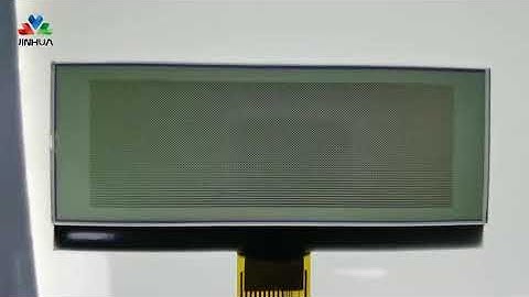 COG Dot Matrix LCD Display 256*96 Dots