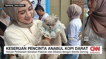 Keseruan Pencinta Anabul Kopi Darat