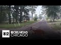 Officer in Texas left stunned when kangaroo hops by his squad car