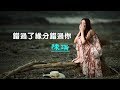 錯過了緣分錯過你【演唱：陳瑞】傷感情歌 動態歌詞 HD