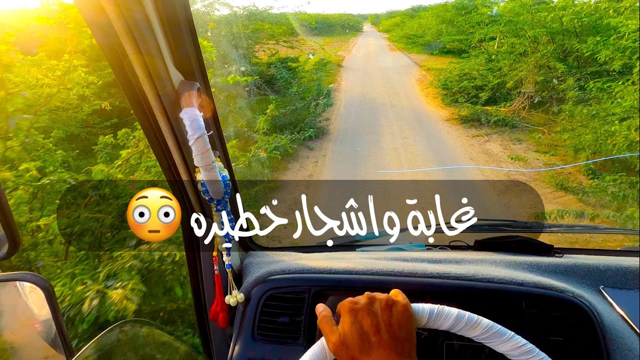 اشجار تغزونا والسؤال هل هي ضاره ام لا