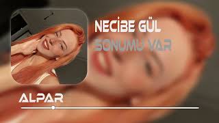 Necibe Gül - Sonumu Var ( Alparslan Yıldırım Remix ) Resimi