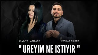 Ferhad Bicare & Ulviyye Hacizade - Ureyim Ne istiyir (2024) Resimi