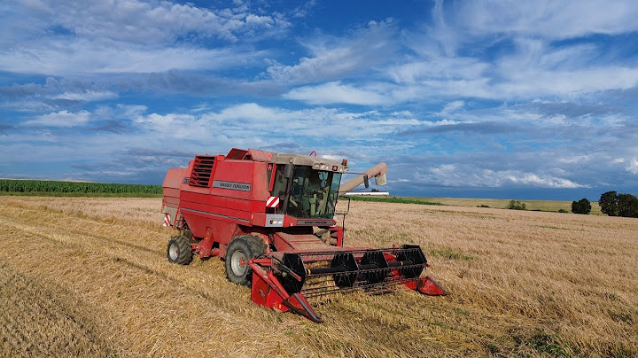 Moisson d'orge 2024!