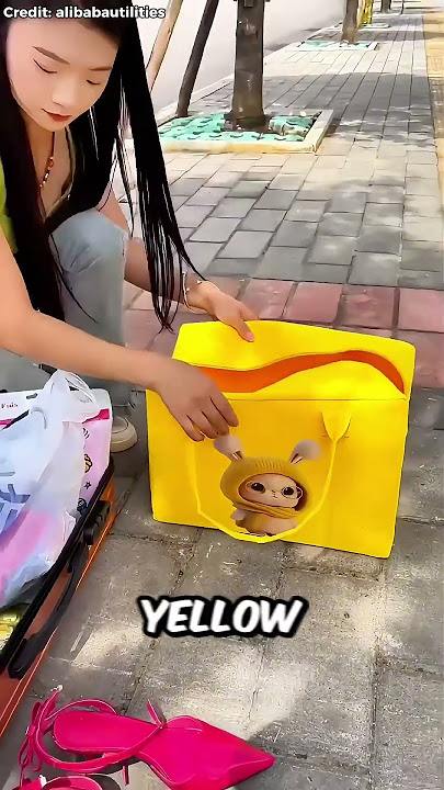 This Tiny Bag Holds EVERYTHING! 😱👜 #shorts