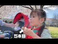 満開の桜を見ながらサンドイッチを爆食いする大食い2歳娘【お花見リベンジ】