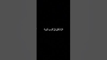 ربنا إنك تعلم ما نخفى وما نعلن // كروم سوداء حالات واتس اب قران🌿سورة إبراهيم🌿 القارئ#عبدالبديع_غيلان
