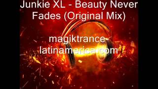 Junkie XL - Beauty Never Fades (Original Mix)