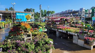 Lowes May 2024 plant inventory. So many plants!!! and a 3 for the $12 perennial sale.