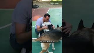 Dog Gets Jealous Over Turkey Hugging Man | Shorts