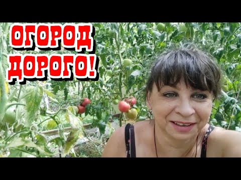 Хутор мамы ларисы новые видео