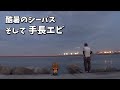 酷暑のシーバス釣り そして手長エビ