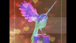 Djit.djit.dj아이티.디제이아이티 Tropialhouse Rainbow