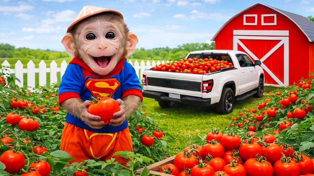 دعاء خاشع في اليوم التاسع من شهر رمضان المبارك دعاء خاشغ تهتز له القلوب - Doa Ramadan - علاء عقل