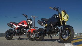 Honda Grom Roadracing With the UMRA | ON TWO WHEELS
