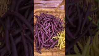 Early July Harvest