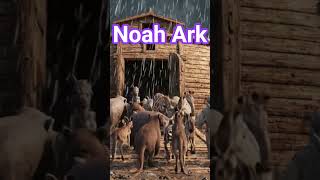NOAH  ARK #motivation #motivation #animals #funny #love #facts #peace #love