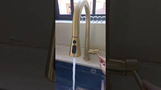 Video review for Lava Odoro Kitchen Faucet KF321 by Lava Odoro 29 views 2 months ago 1 minute, 18 seconds