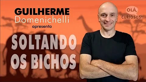 Como é a respiração de uma minhoca?