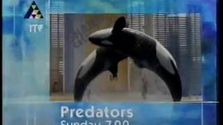 Itv Trailer - Predators - Sharks Aug 1998