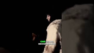 Cher's Chance Encounter Changed Her Life: The Sonny Bono Story #shorts